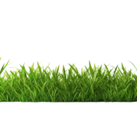 AI generated Green grass field clip art png