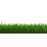 ai genererad grön gräs fält klämma konst png