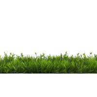 AI generated Green grass field clip art png