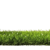 AI generated Green grass field clip art png