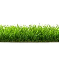 AI generated Green grass field clip art png