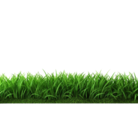 AI generated Green grass field clip art png