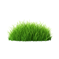 AI generated Green grass field clip art png