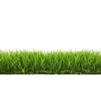 AI generated Green grass field clip art png