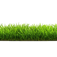 AI generated Green grass field clip art png