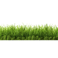 AI generated Green grass field clip art png