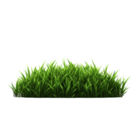 AI generated Green grass field clip art png