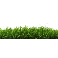 AI generated Green grass field clip art png