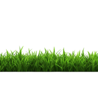 AI generated Green grass field clip art png