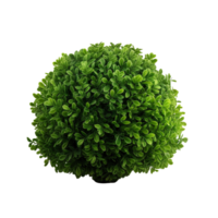 AI generated Green bush clip art png