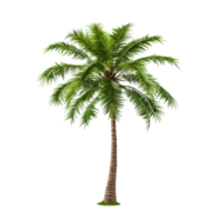 AI generated Green palm tree clip art png