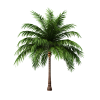 AI generated Green palm tree clip art png