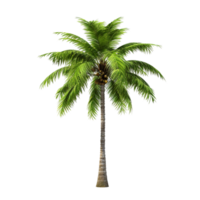 AI generated Green palm tree clip art png