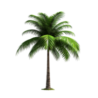 AI generated Green palm tree clip art png