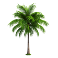 AI generated Green palm tree clip art png