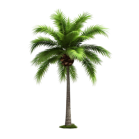 AI generated Green palm tree clip art png