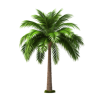 AI generated Green palm tree clip art png