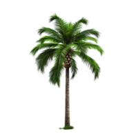 AI generated Green palm tree clip art png