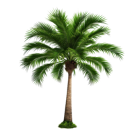 ai generato verde palma albero clip arte png