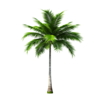 AI generated Green palm tree clip art png