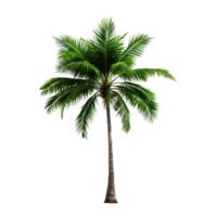 AI generated Green palm tree clip art png