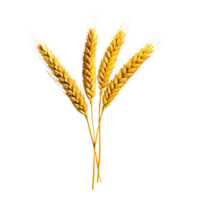 AI generated Golden wheat stalk clip art png