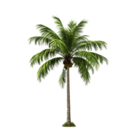 AI generated Green palm tree clip art png