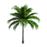 AI generated Green palm tree clip art png