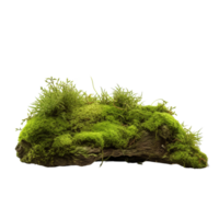 AI generated Green moss with grass clip art png