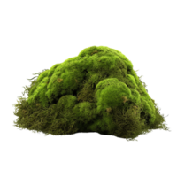 AI generated Green moss with grass clip art png