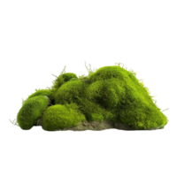 AI generated Green moss with grass clip art png