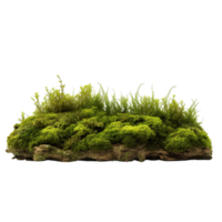 AI generated Green moss with grass clip art png