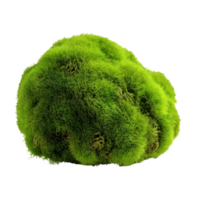 AI generated Green moss with grass clip art png