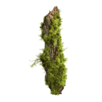 AI generated Green moss on rotten bark tree clip art png