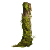 AI generated Green moss on rotten bark tree clip art png