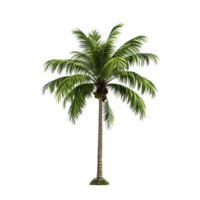 AI generated Green palm tree clip art png