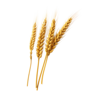 AI generated Golden wheat stalk clip art png