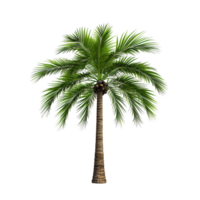 ai generato verde palma albero clip arte png