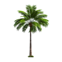 ai generiert Grün Palme Baum Clip Kunst png