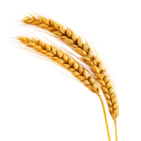 AI generated Golden wheat stalk clip art png