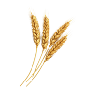 AI generated Golden wheat stalk clip art png