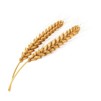 AI generated Golden wheat stalk clip art png