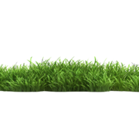 AI generated Green grass field clip art png