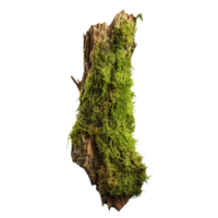 AI generated Green moss on rotten bark tree clip art png