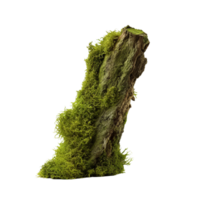 AI generated Green moss on rotten bark tree clip art png