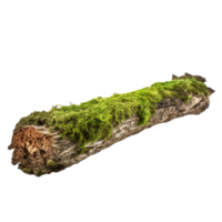 AI generated Green moss on rotten bark tree clip art png