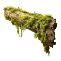 AI generated Green moss on rotten bark tree clip art png