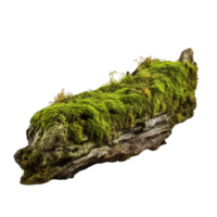 AI generated Green moss on rotten bark tree clip art png