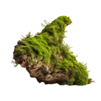 AI generated Green moss on rotten bark tree clip art png