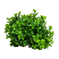 AI generated Green bush clip art png